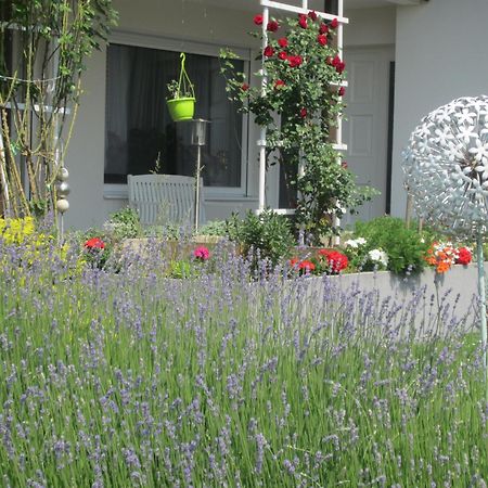 Sekt & Wein - Walter Klein Apartman Illmic Kültér fotó